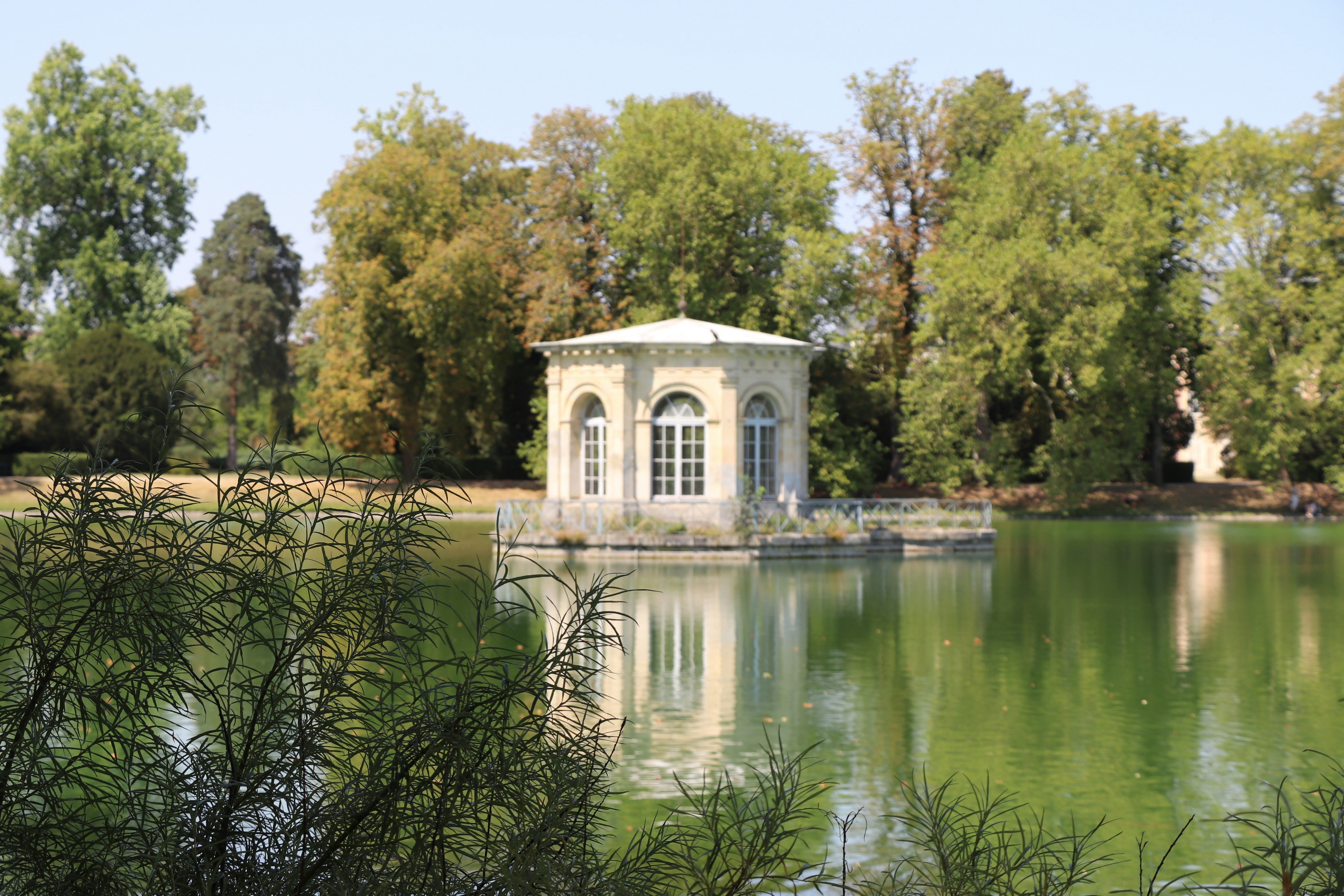 Photo by isaacarnault