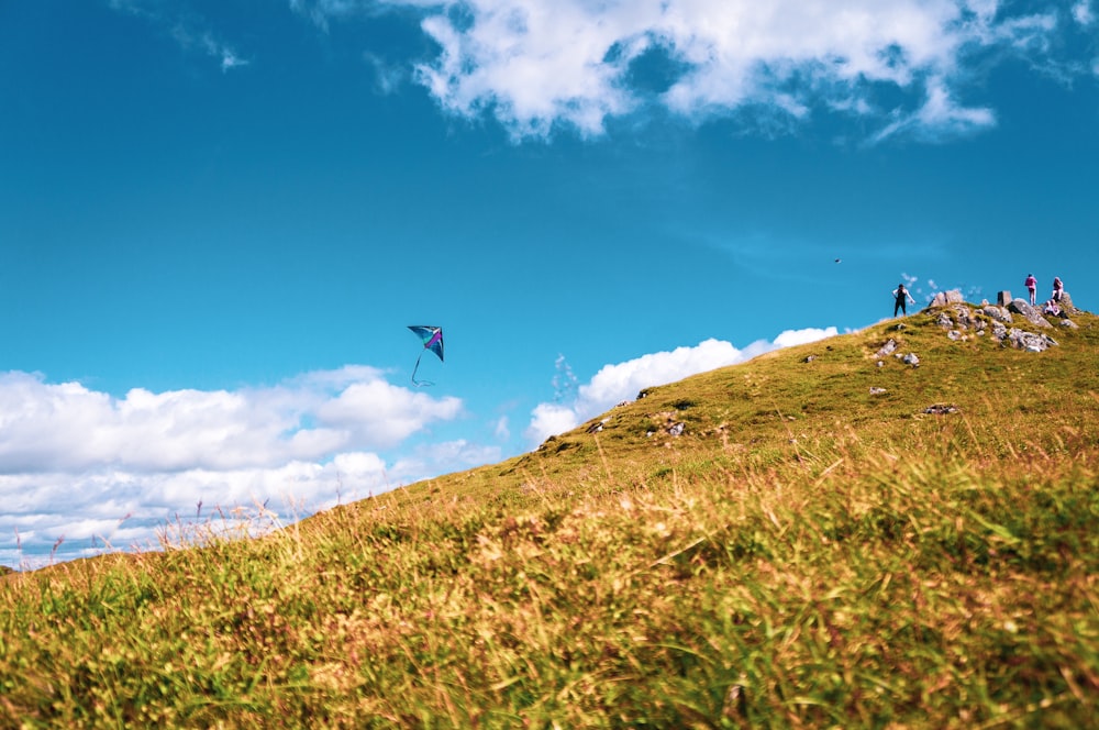 낮 동안 푸른 하늘 아래 푸른 잔디밭에서 점프하는 사람