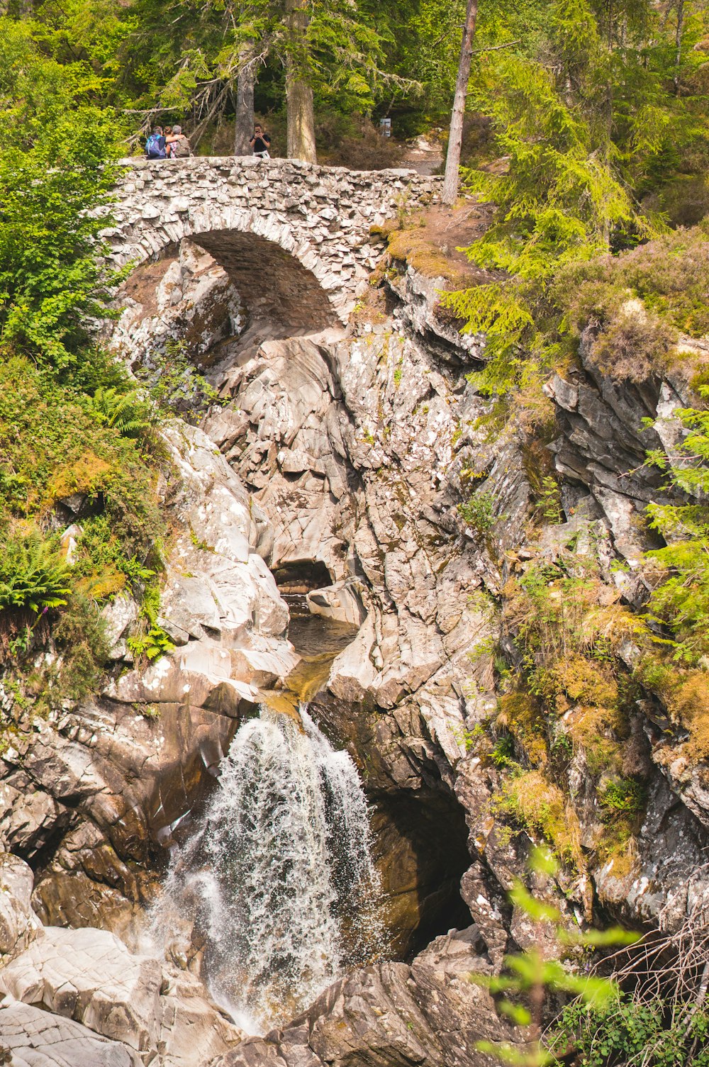 waterfalls in the middle of rocky mountain