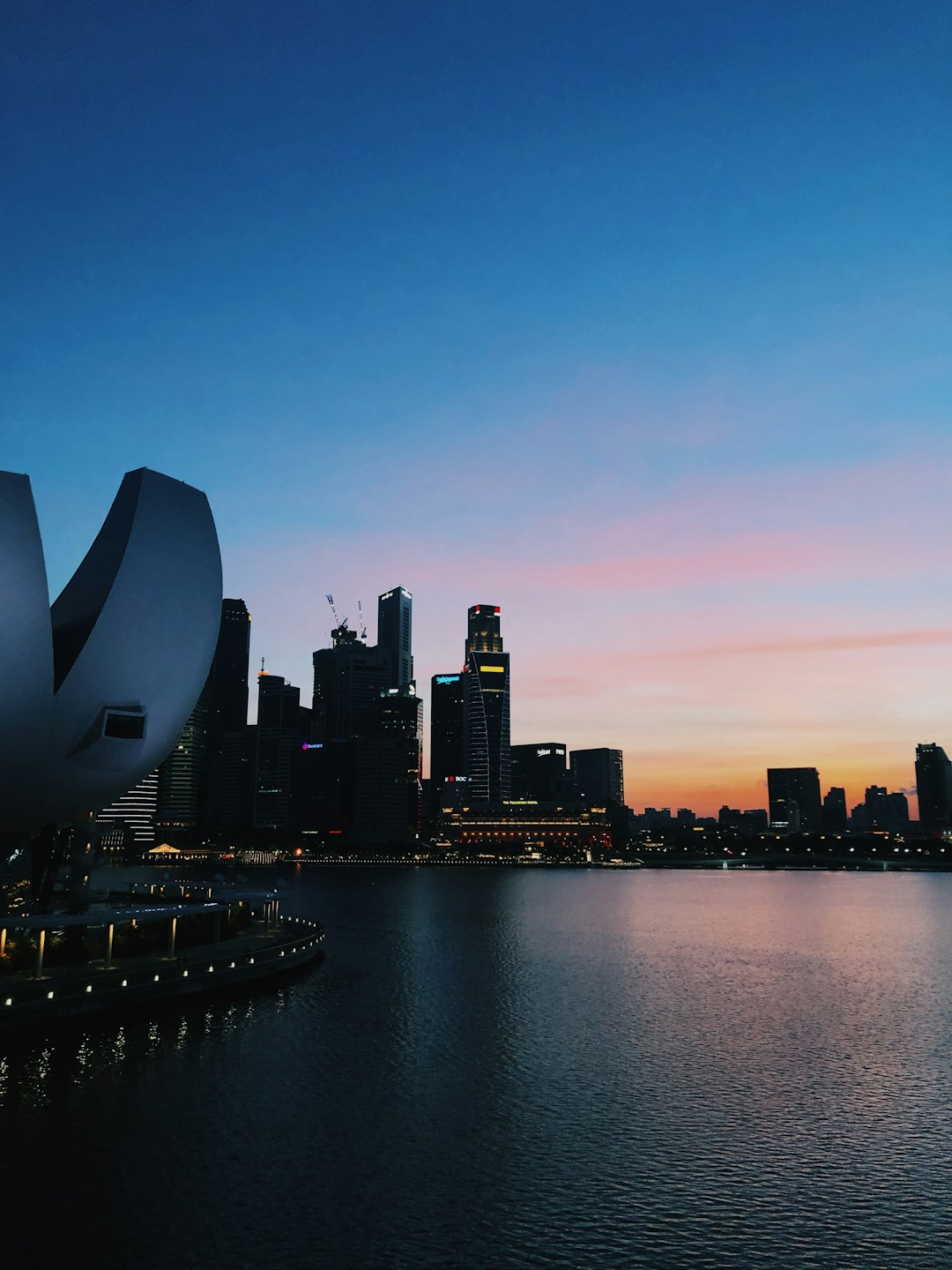 city skyline during night time