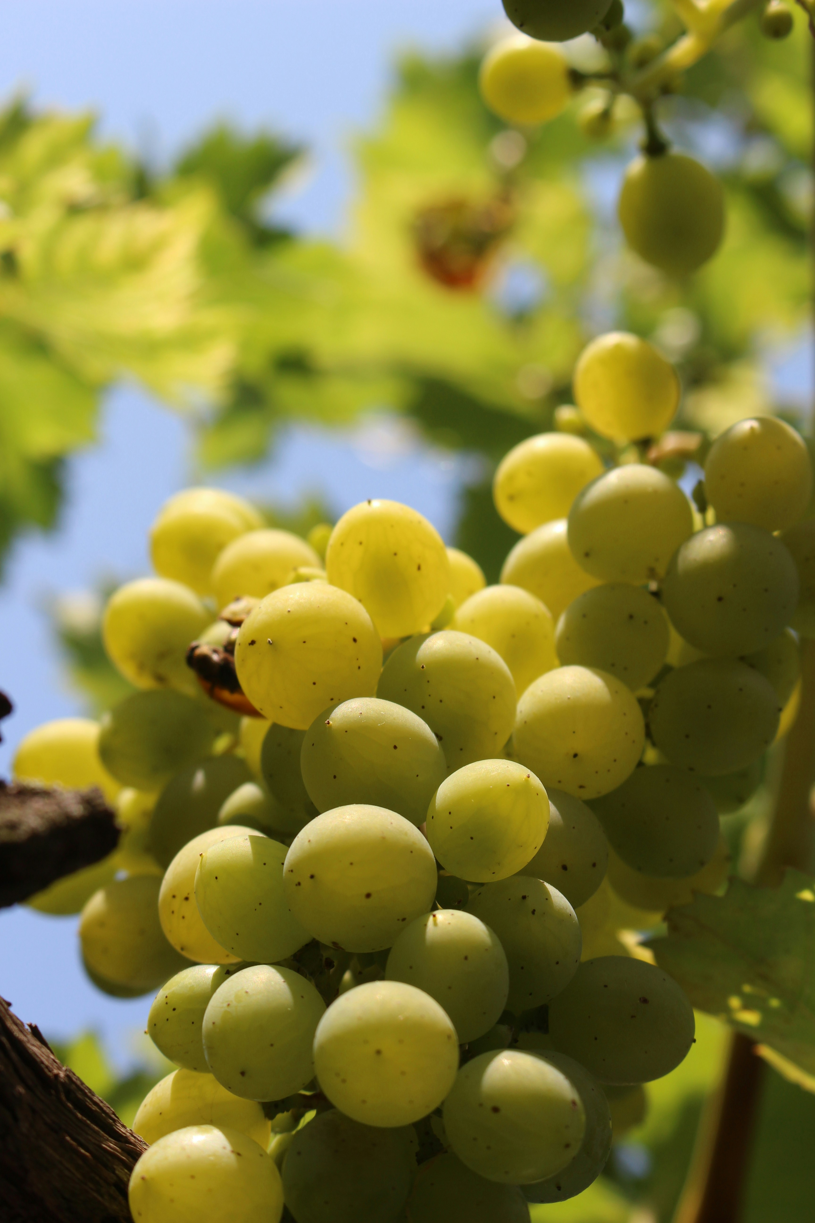 Photo by marjorylucabaxter