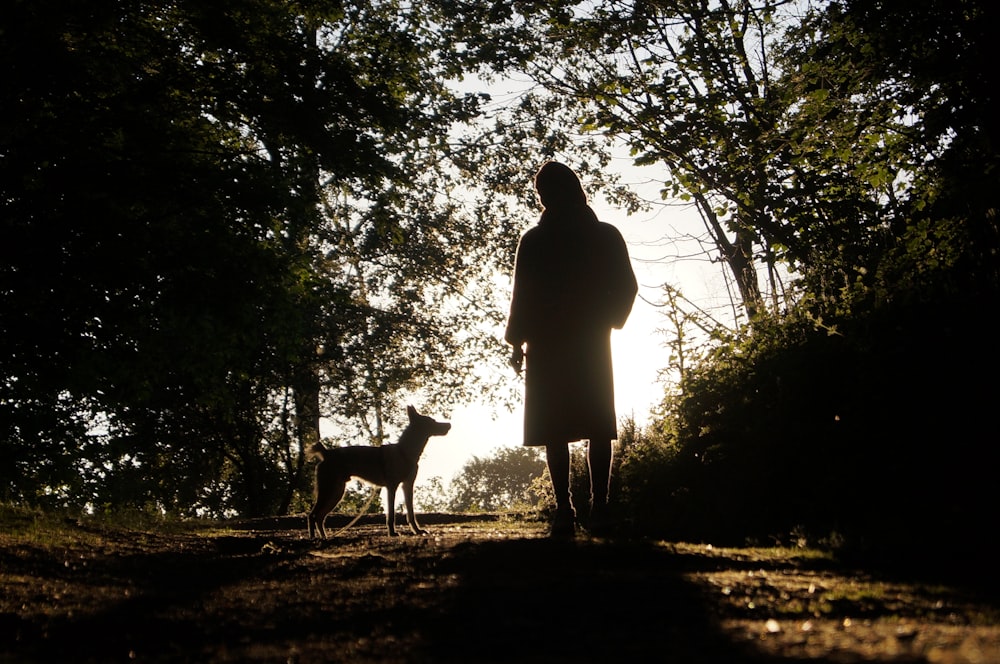 silhouette de femme debout à côté d’un chien pendant la journée