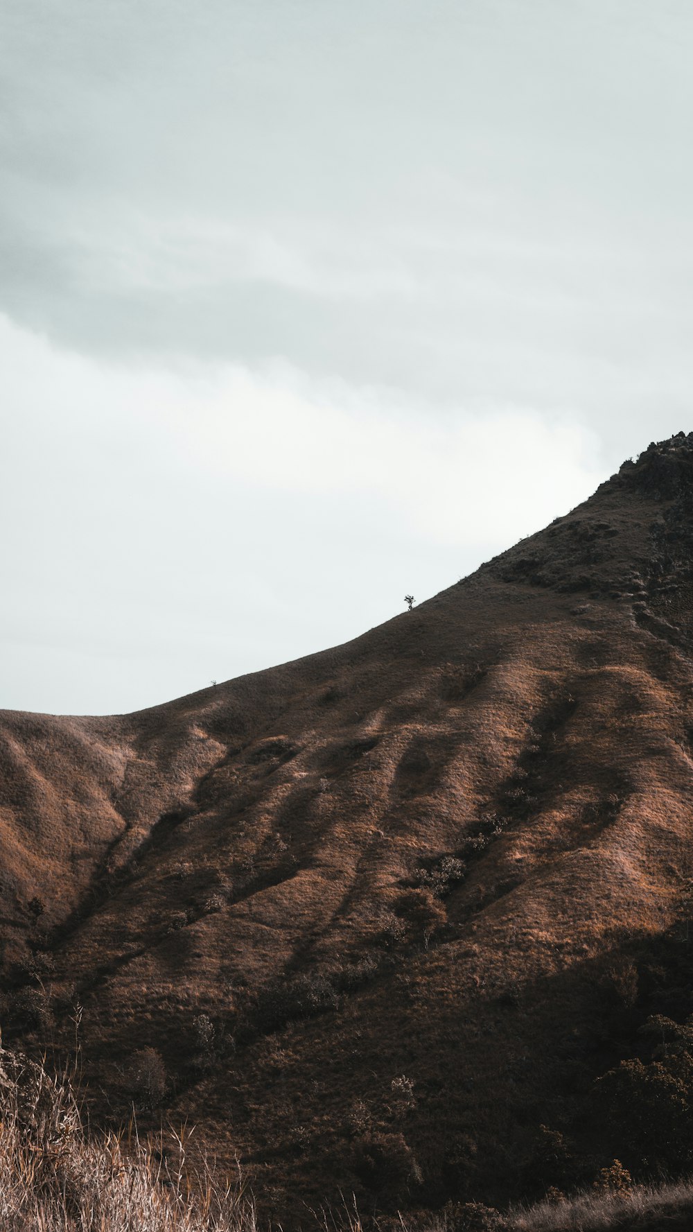 people walking on brown mountain during daytime