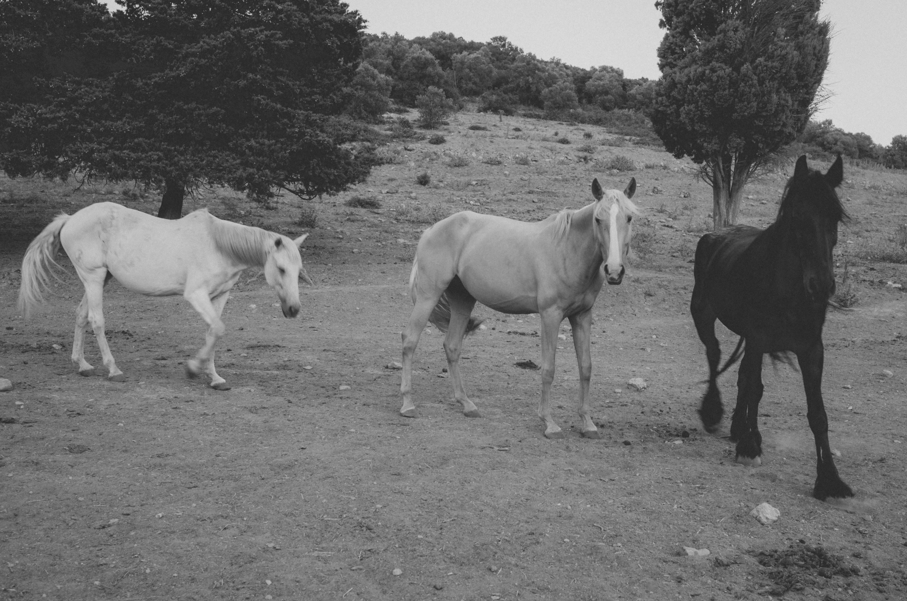 Photo by yohannlibot