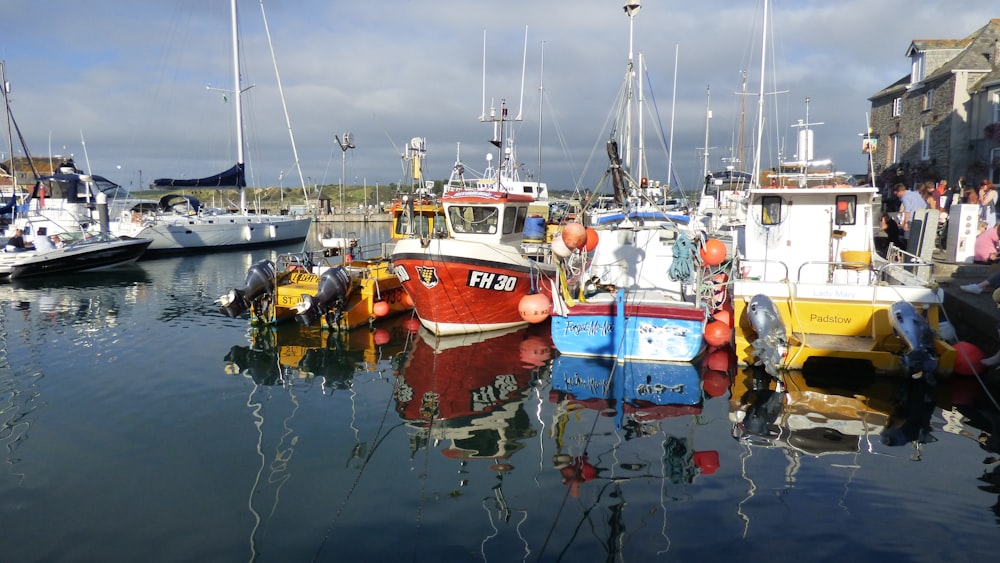 white and orange boat on dock during daytime