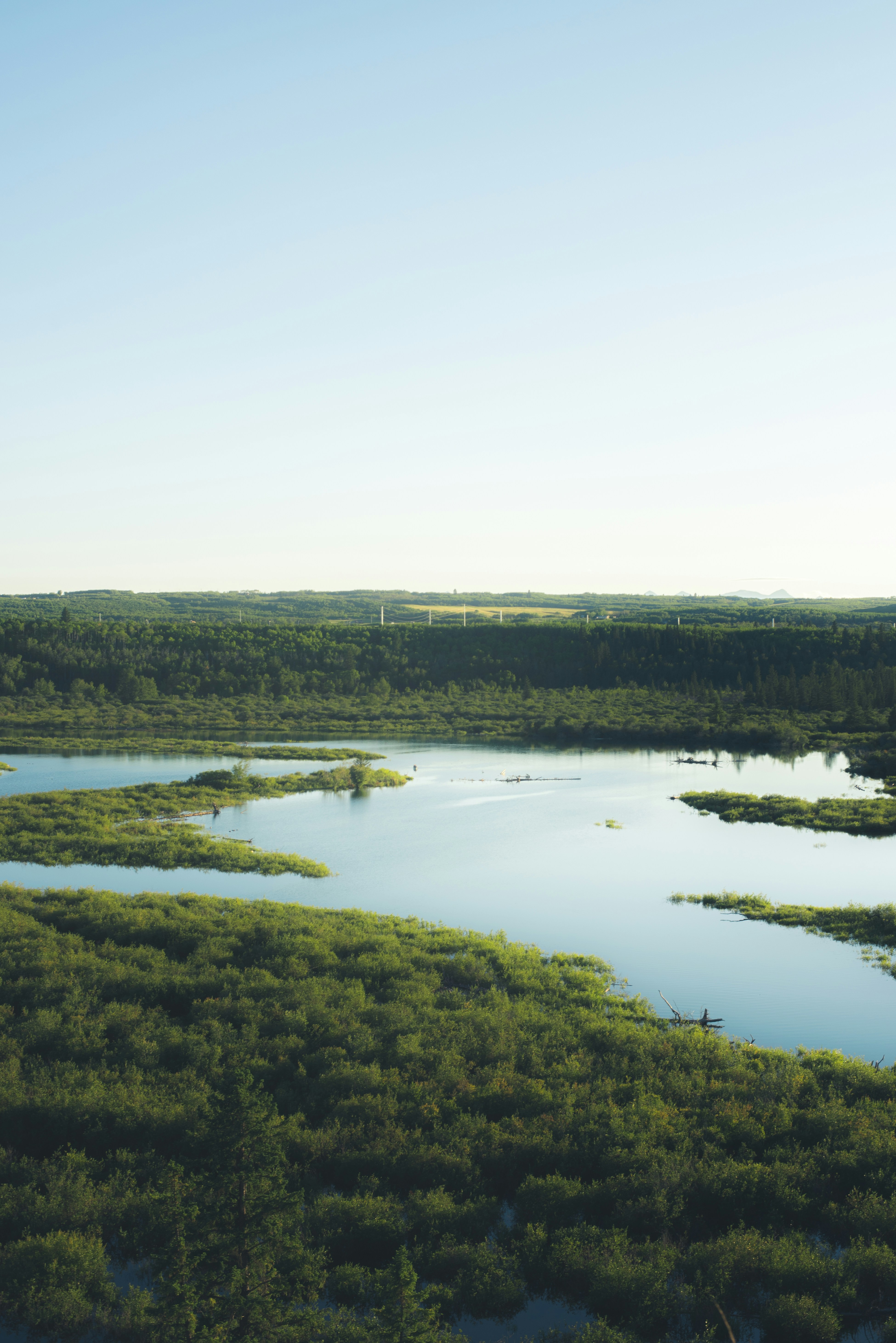 Photo by ryunosuke_kikuno