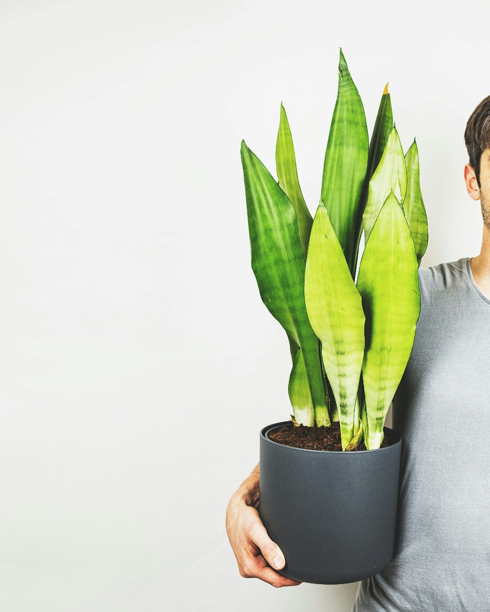 woman in gray blazer holding green plant
