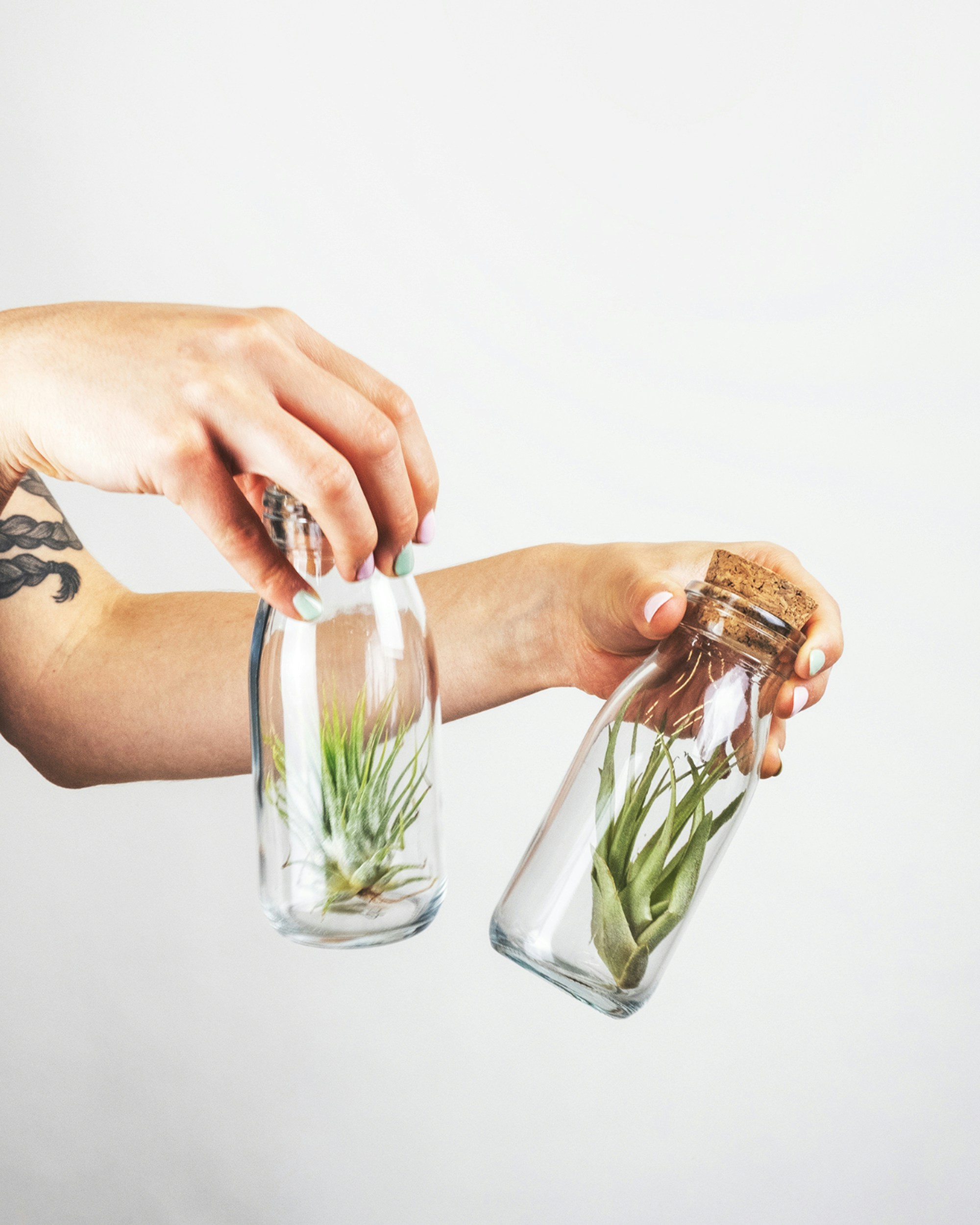 Studio shot of a woman holding two glasses filled with air plants.