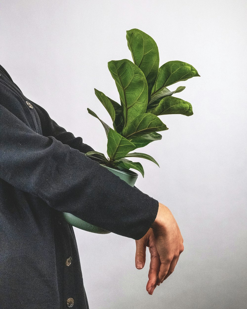 person in black coat holding green plant