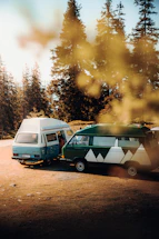 A cozy campervan parked by a forest clearing with two happy dogs playing nearby