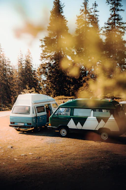 A cozy campervan parked by a forest clearing with two happy dogs playing nearby