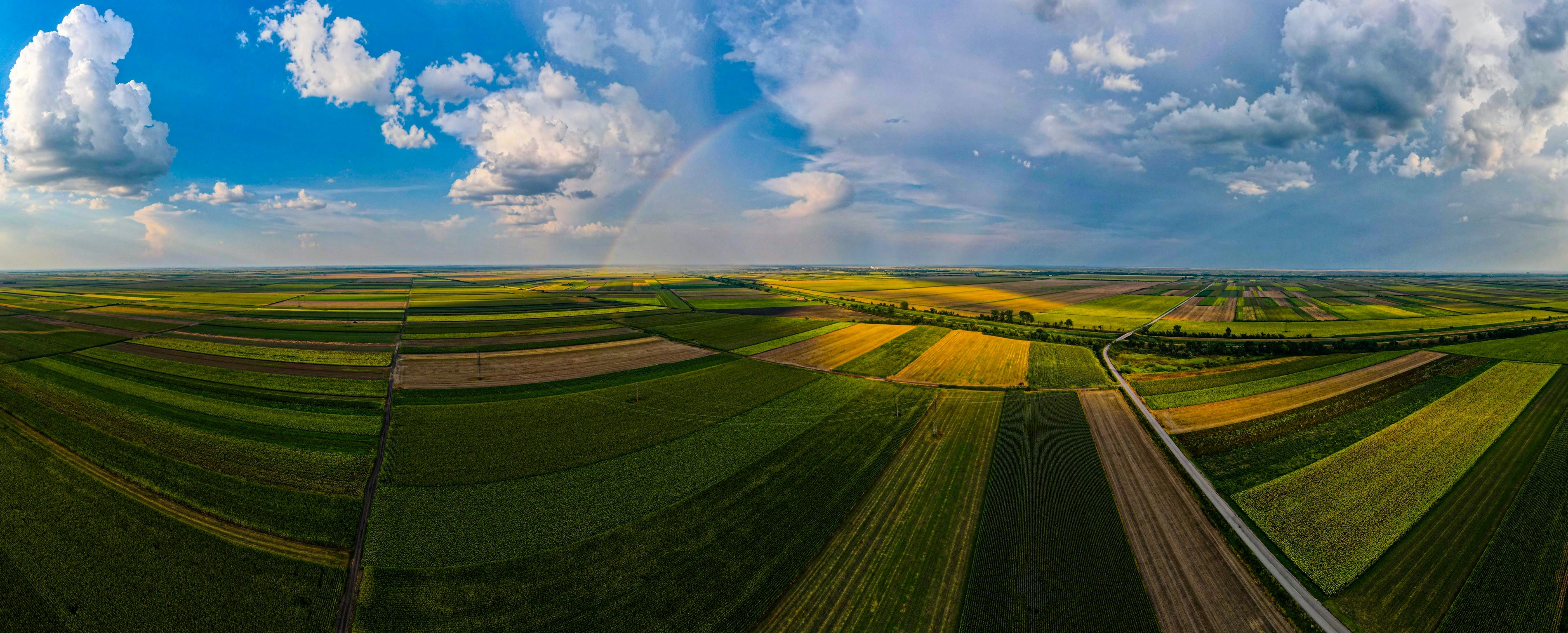 green grass field under blue sky and white clouds during daytime