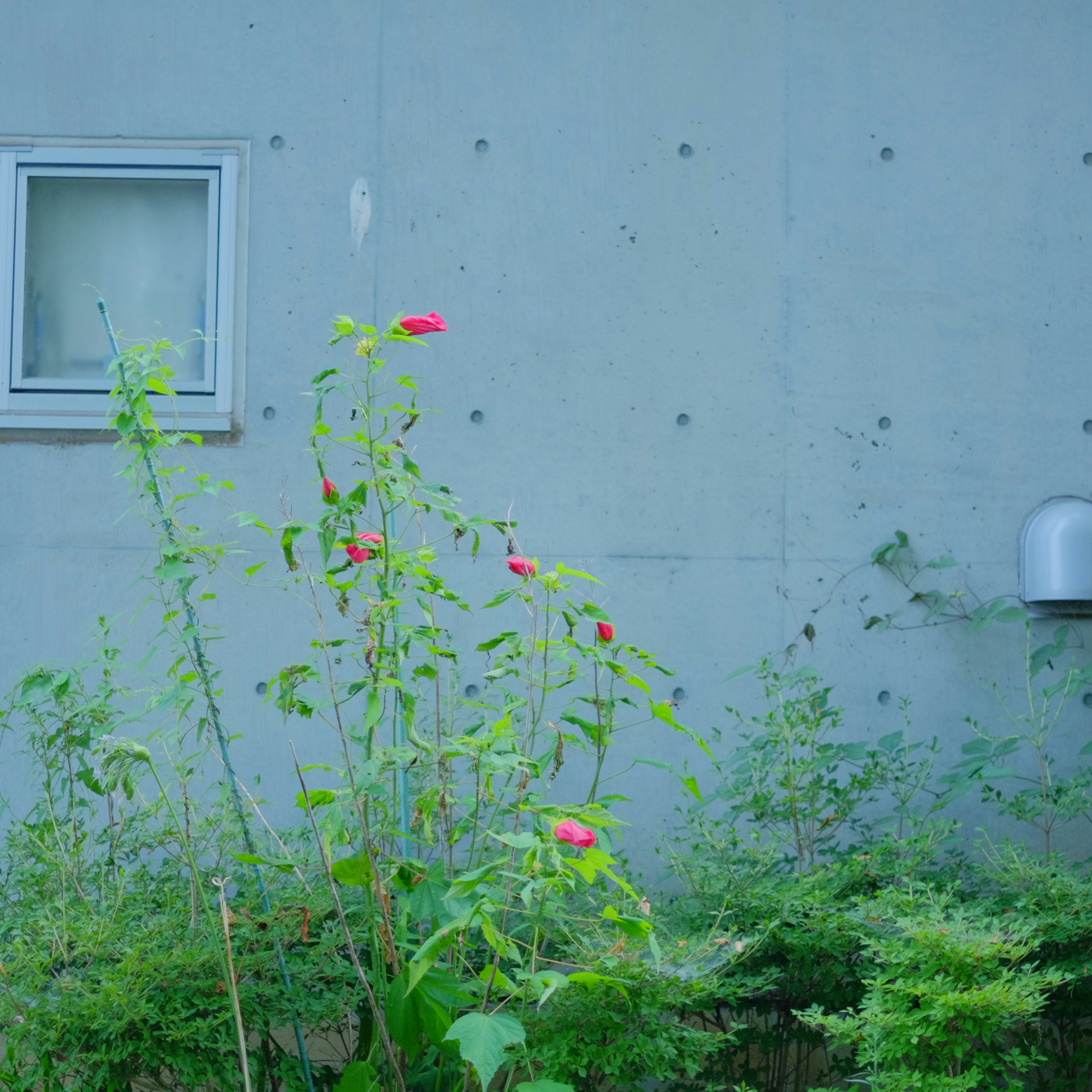 Photo by kiyomishiomura