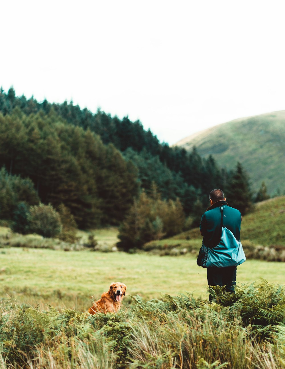 man in blue jacket and black pants walking on green grass field with brown dog during