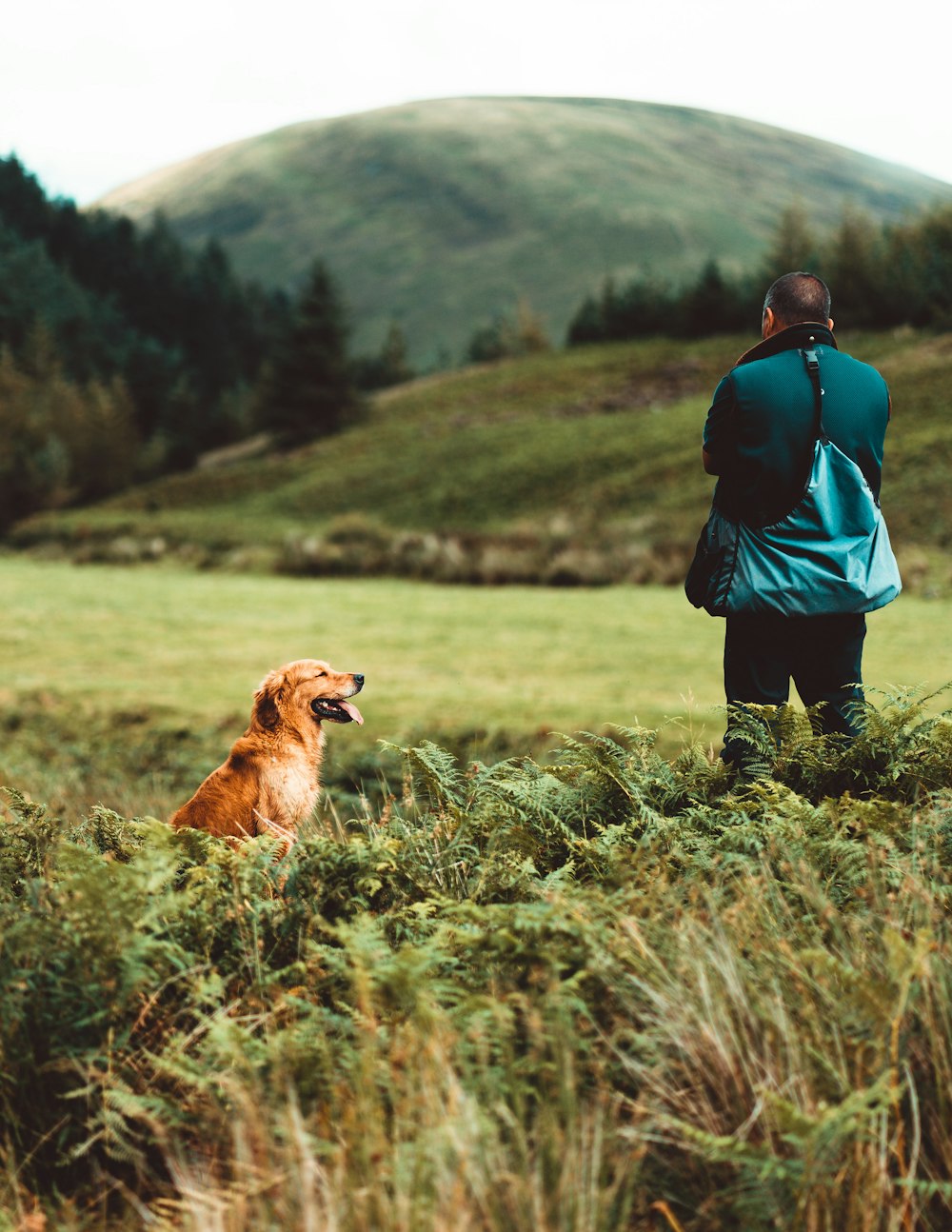 man in blue jacket and black pants standing beside brown dog on green grass field during