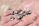 Close-up of a hand applying creamy lotion next to aqua and tan seashells on a sandy surface