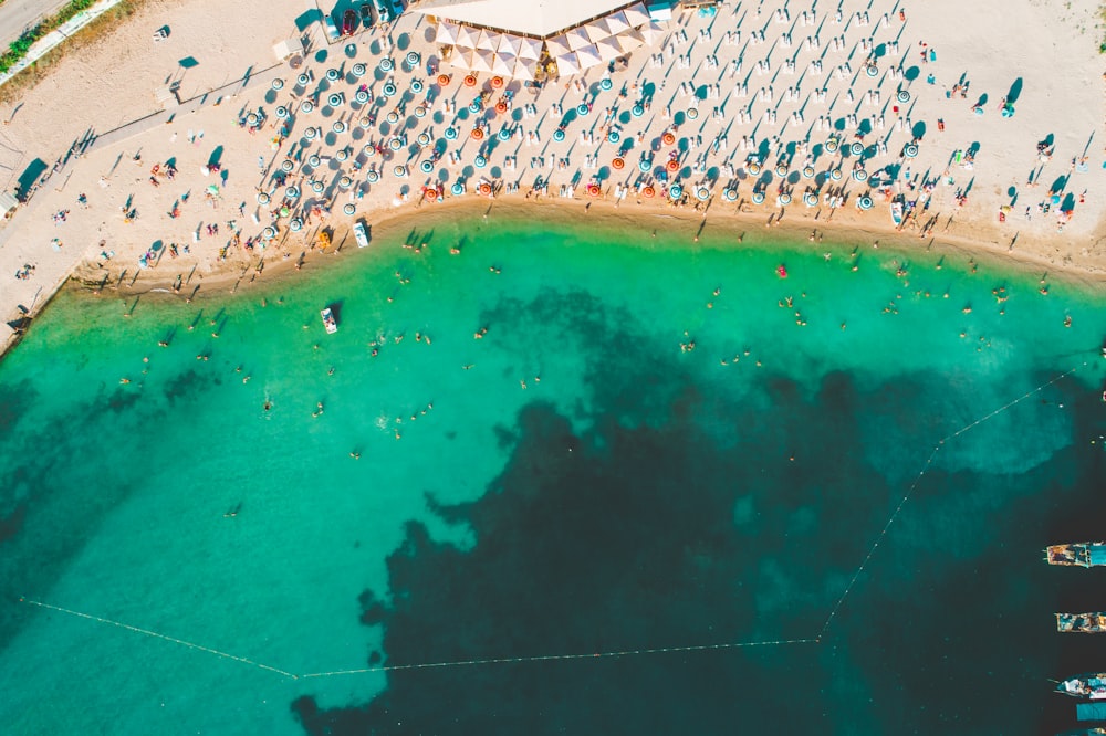 people on beach during daytime