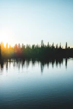 body of water near trees during daytime