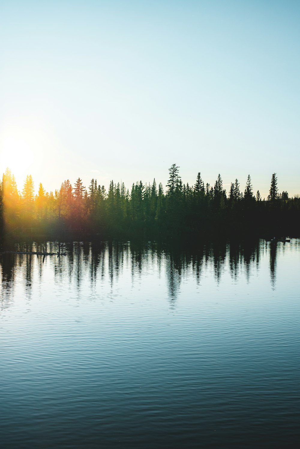 body of water near trees during daytime