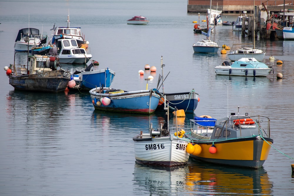 yellow and blue boat on body of water during daytime