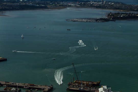 aerial view of white ship on sea during daytime in Auckland New Zealand