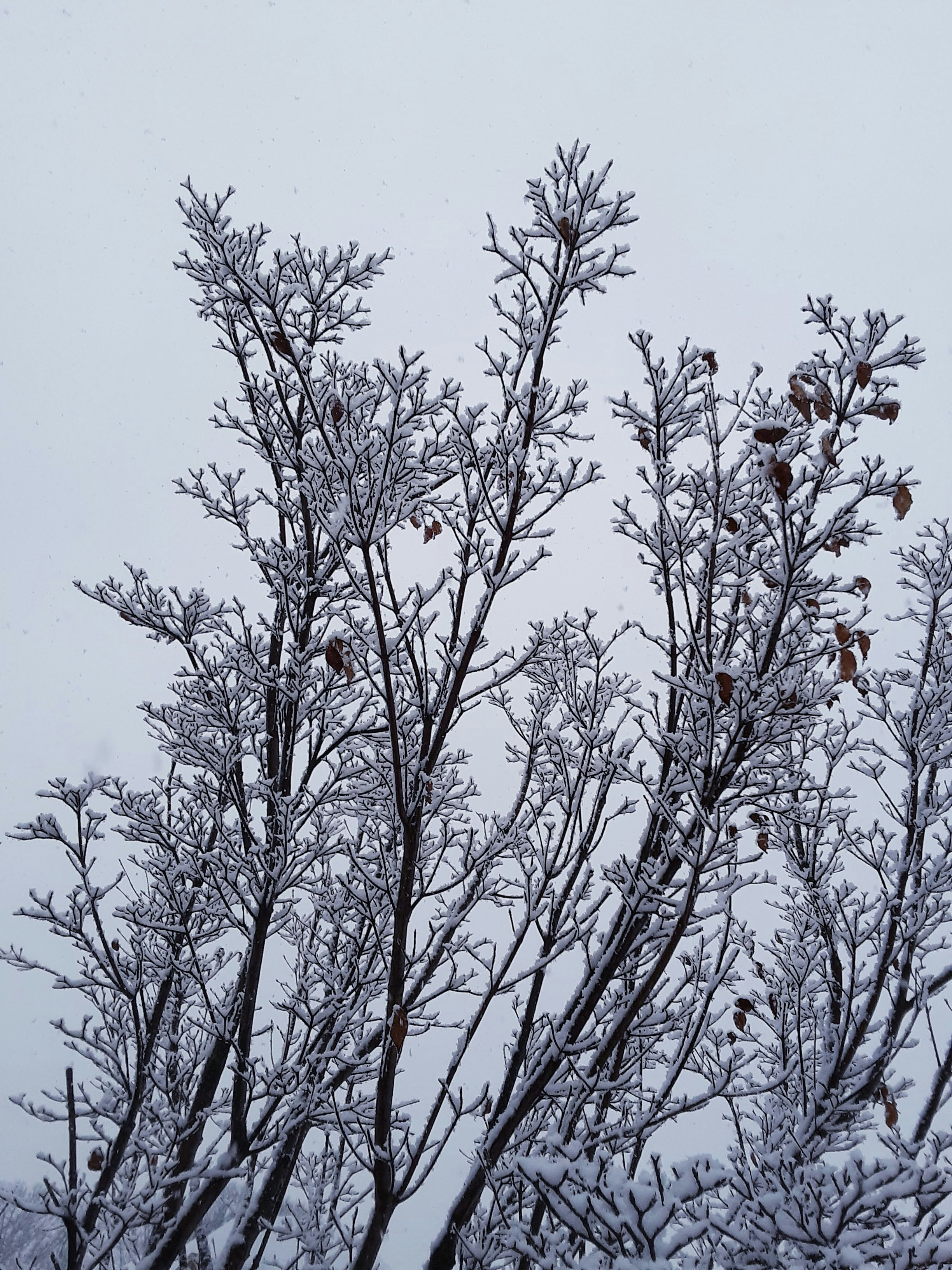 Photo by joy_inthe_morning