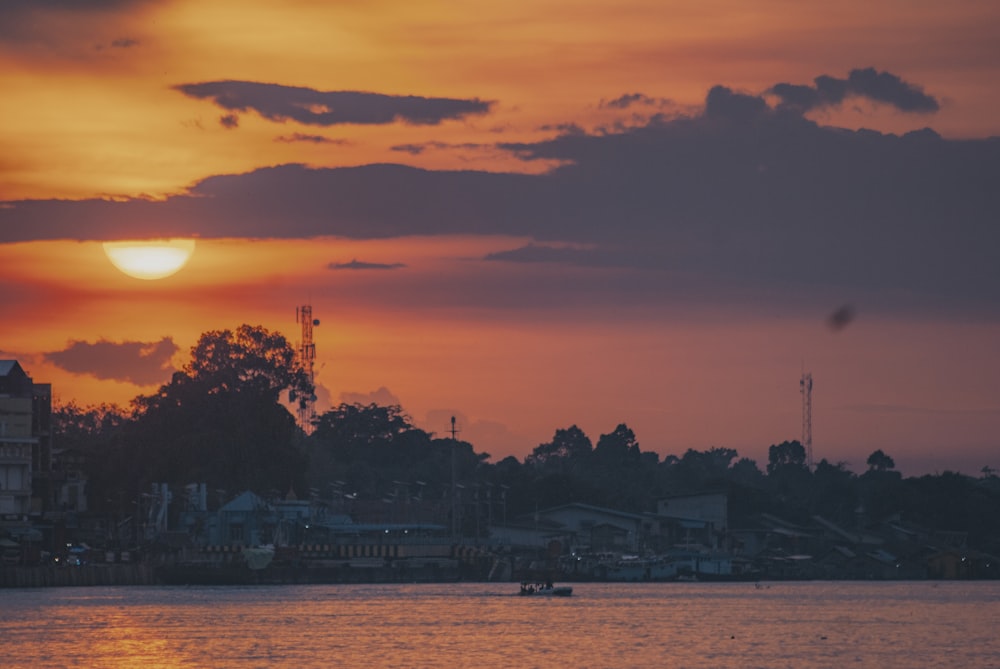 silhouette of trees near body of water during sunset