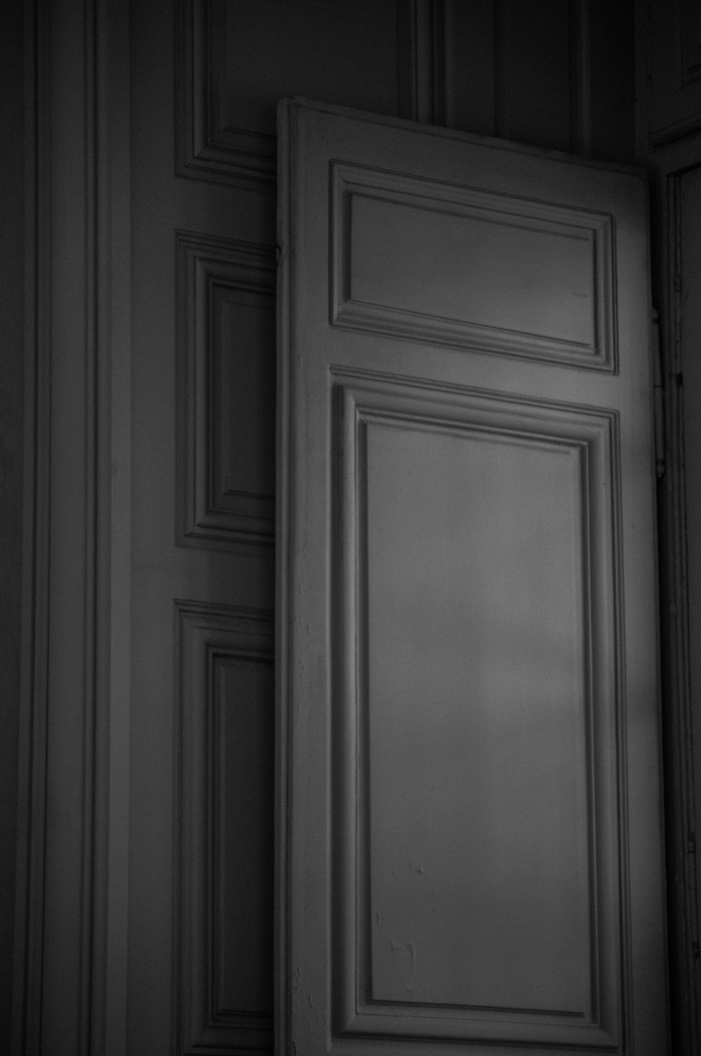 white wooden door in gray scale