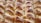 A close-up view of a freshly baked pastry with a golden-brown crust. The surface is textured with small granules, likely sugar or crumbs, and displays a pattern of overlapping layers. The pastry appears flaky and buttery.