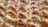 A close-up view of a freshly baked pastry with a golden-brown crust. The surface is textured with small granules, likely sugar or crumbs, and displays a pattern of overlapping layers. The pastry appears flaky and buttery.