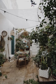 The image depicts a charming outdoor patio filled with various plants, including potted plants, hanging plants, and climbing vines. The space features a rustic ambiance with a ceramic-tiled table, wooden chairs, gardening tools, and an assortment of decorative items such as plates and baskets mounted on the wall. A white canopy is strung overhead, and the flooring consists of stone tiles.
