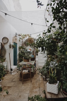 The image depicts a charming outdoor patio filled with various plants, including potted plants, hanging plants, and climbing vines. The space features a rustic ambiance with a ceramic-tiled table, wooden chairs, gardening tools, and an assortment of decorative items such as plates and baskets mounted on the wall. A white canopy is strung overhead, and the flooring consists of stone tiles.