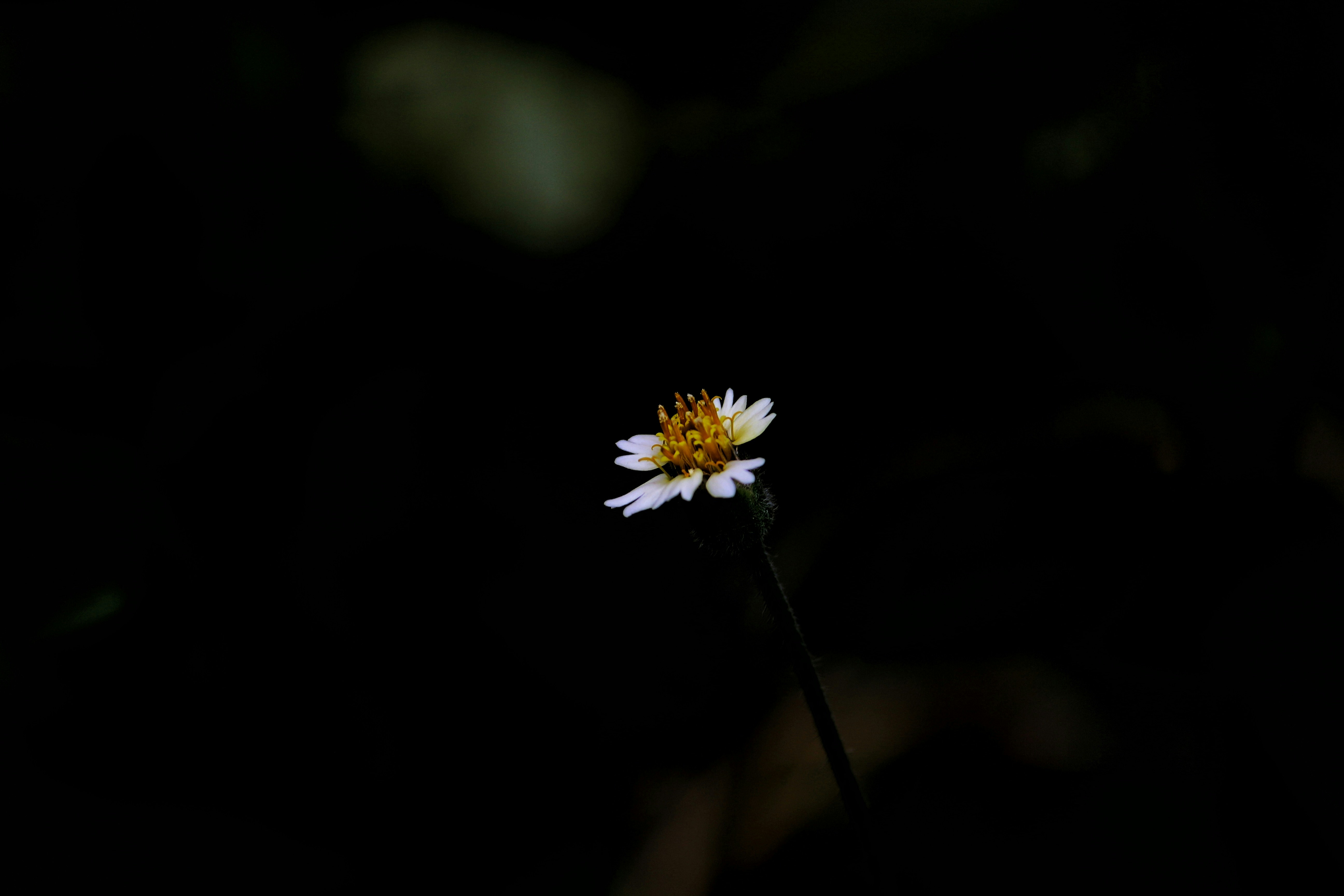 Photo by praveenraj137