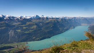 green grass field and mountains during daytime