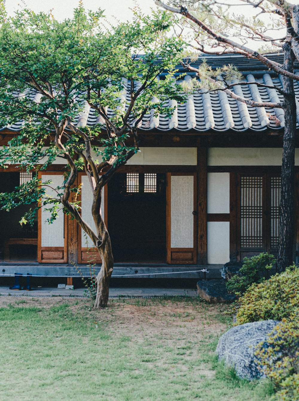 brown and white concrete house