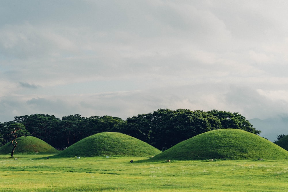 green grass field under cloudy sky during daytime