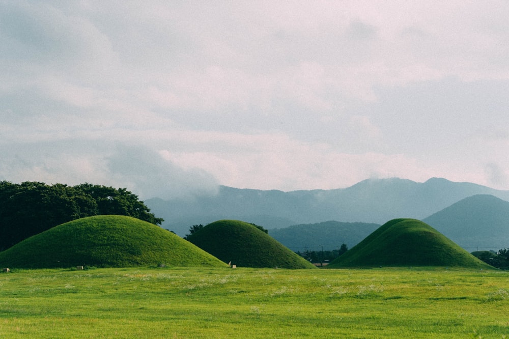 green grass field and green trees under white sky during daytime