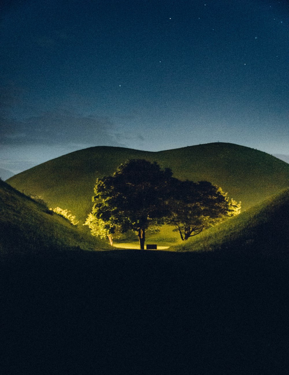 green trees on hill under blue sky during night time