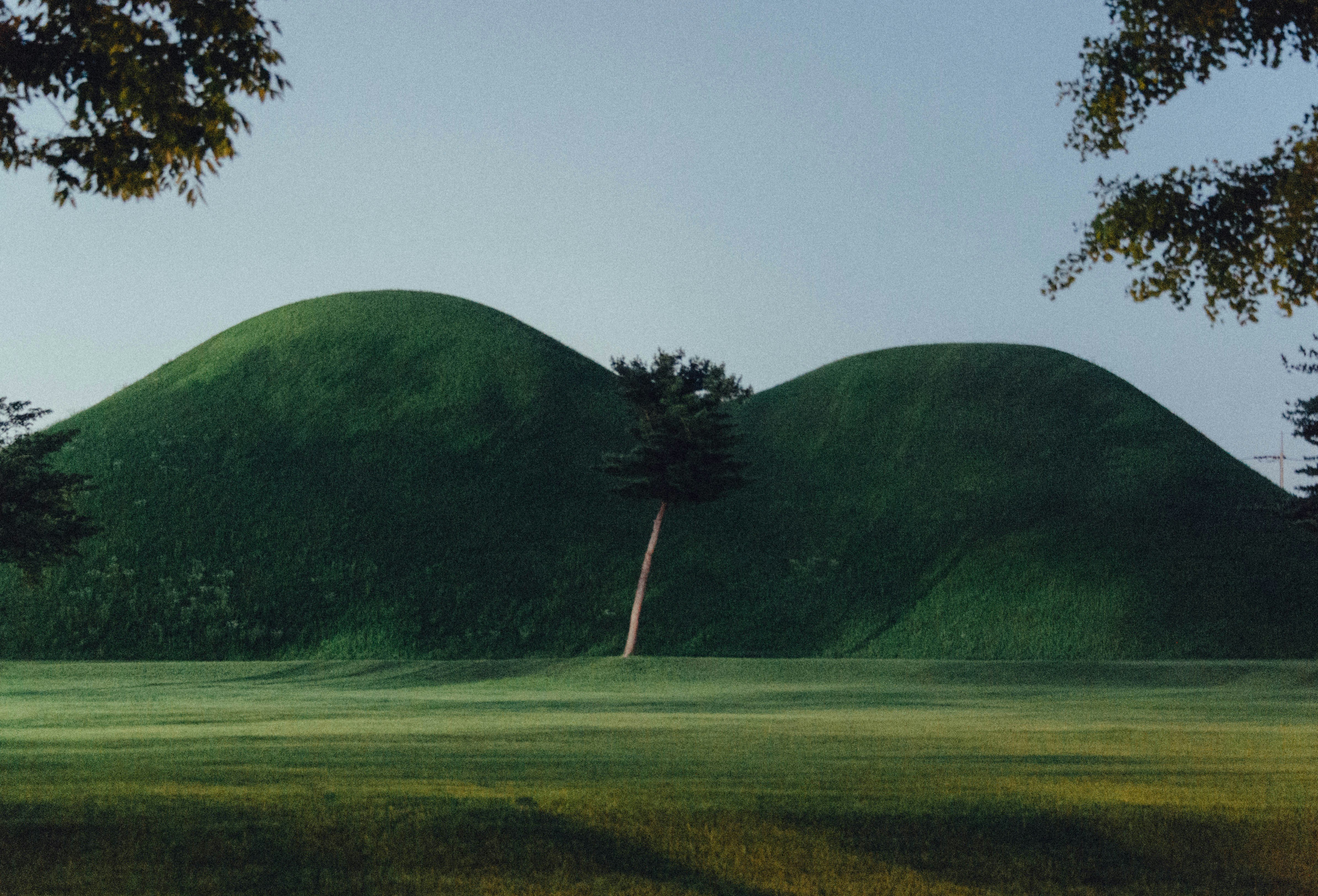campo de grama verde com árvores e montanha à distância