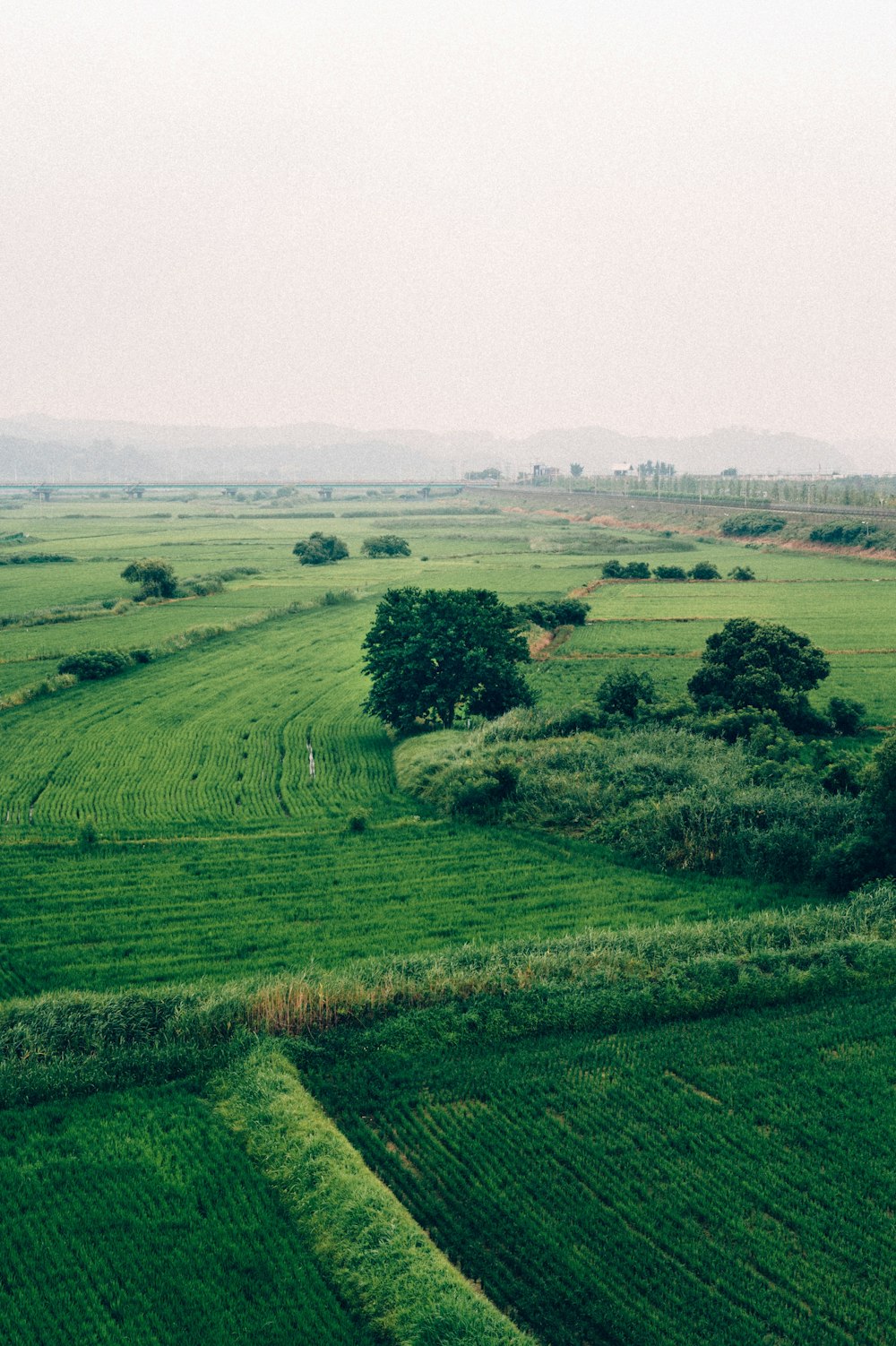 green grass field during daytime