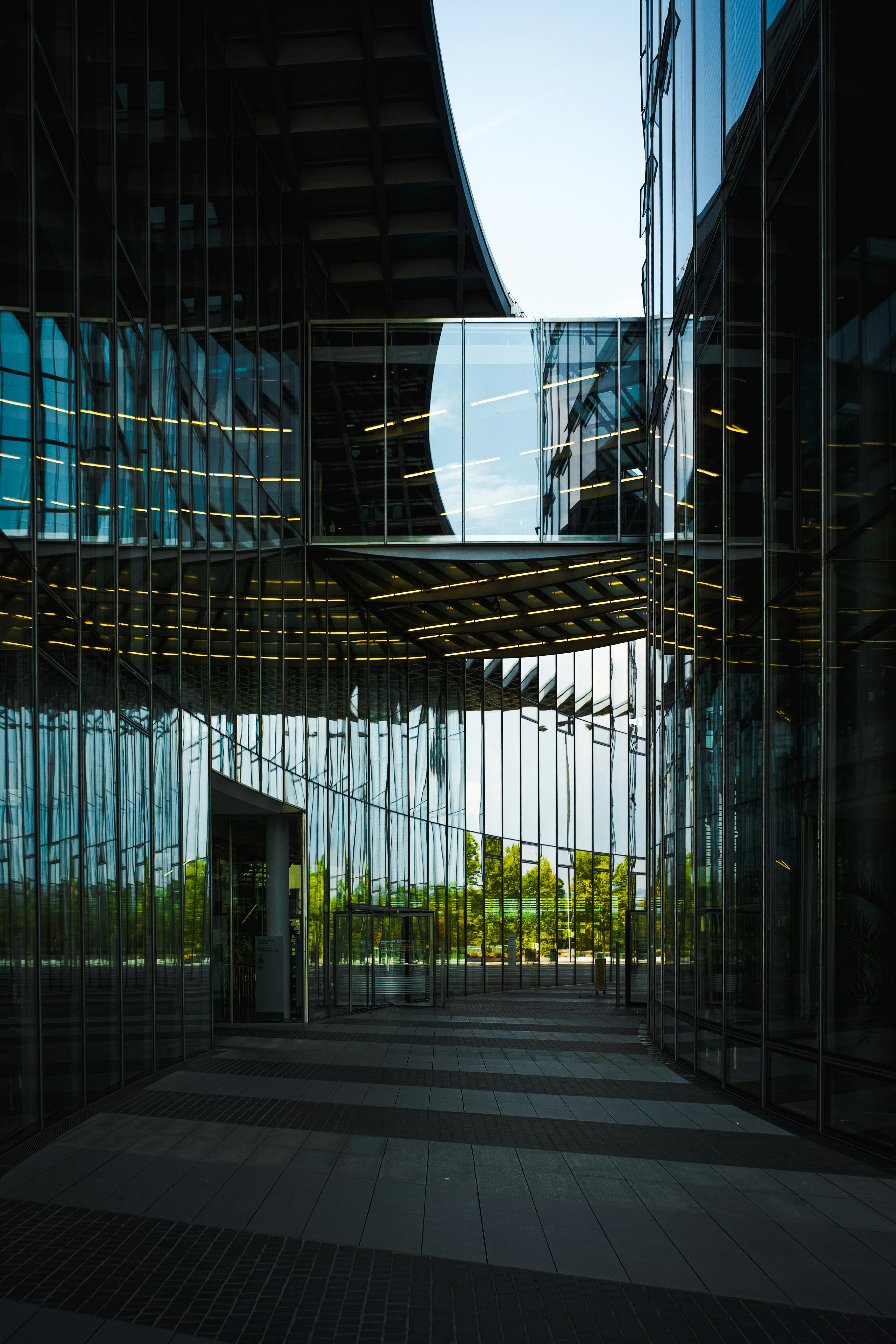 Photo by timaesthetic