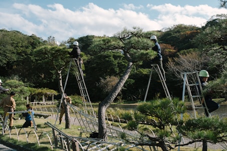 Field workers using trimmers equipped with diamondmisina lines in a sunny orchard.