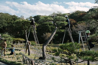 Team members safely lowering tree sections using ropes in a residential garden.