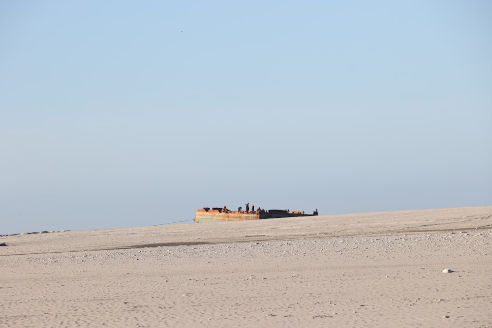 people walking on brown sand during daytime