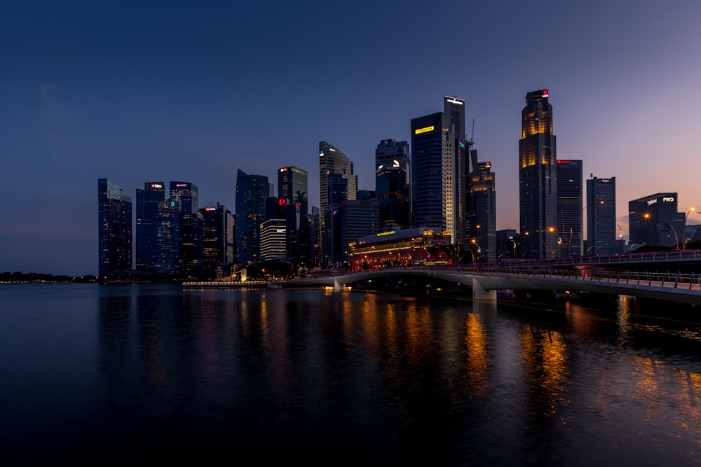 city skyline during night time