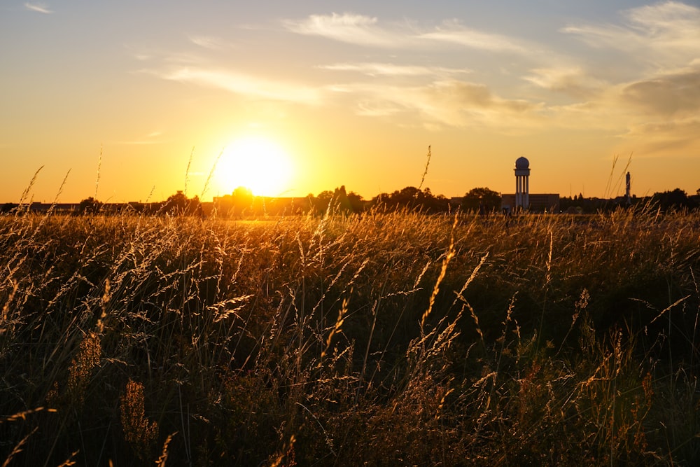 the sun is setting over a field of tall grass