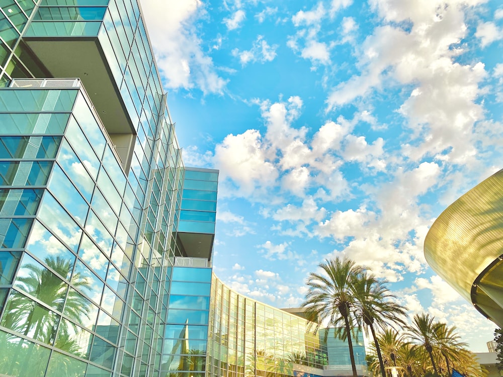 green palm tree near glass building under blue sky during daytime