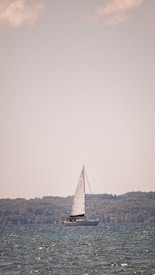 A sailboat gently glides across a serene body of water under a clear sky. The sails are unfurled, catching the light breeze. In the background, a lush green treeline stretches along the horizon, and the sunlight dances on the water surface.