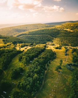 an aerial view of a lush green valley