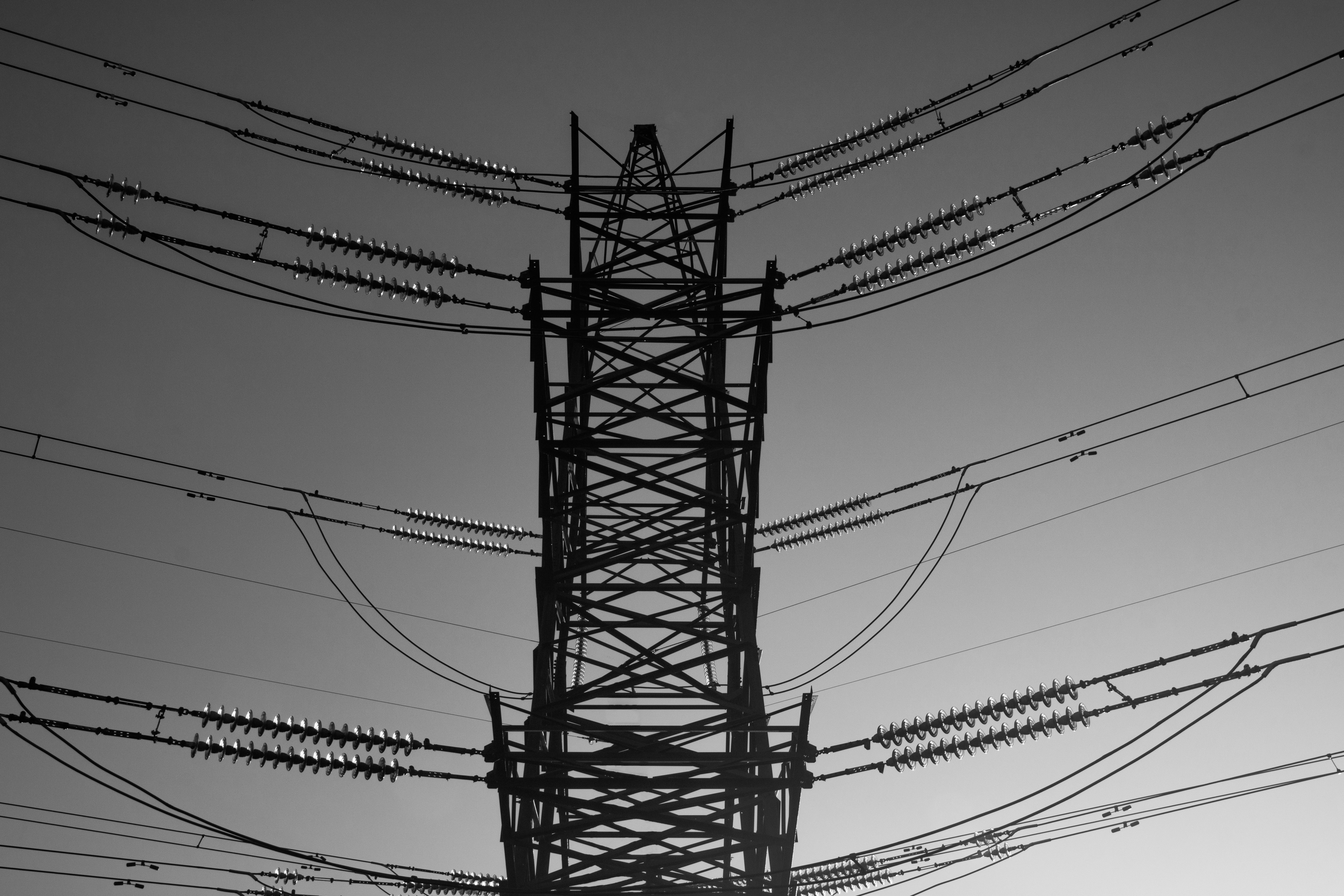 Photo by d_lipenchuk